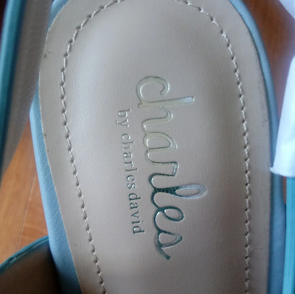 ❇ NIB ❇ Charles by Charles David Muted Blue Layne Espadrille Wedges, Size 8.5 - Picture 9 of 14